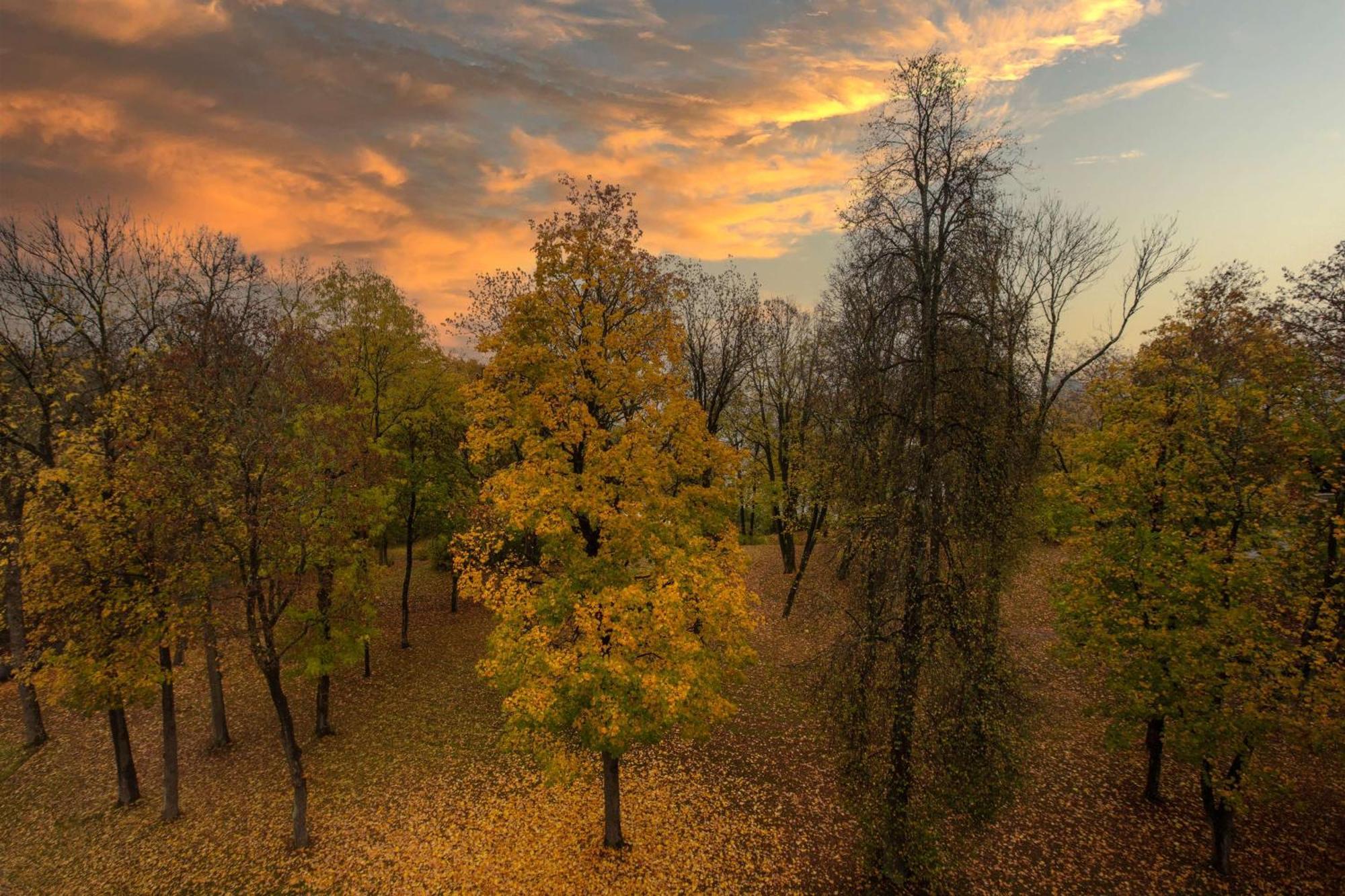 Premium Room - Park View,1592879187:JPEG