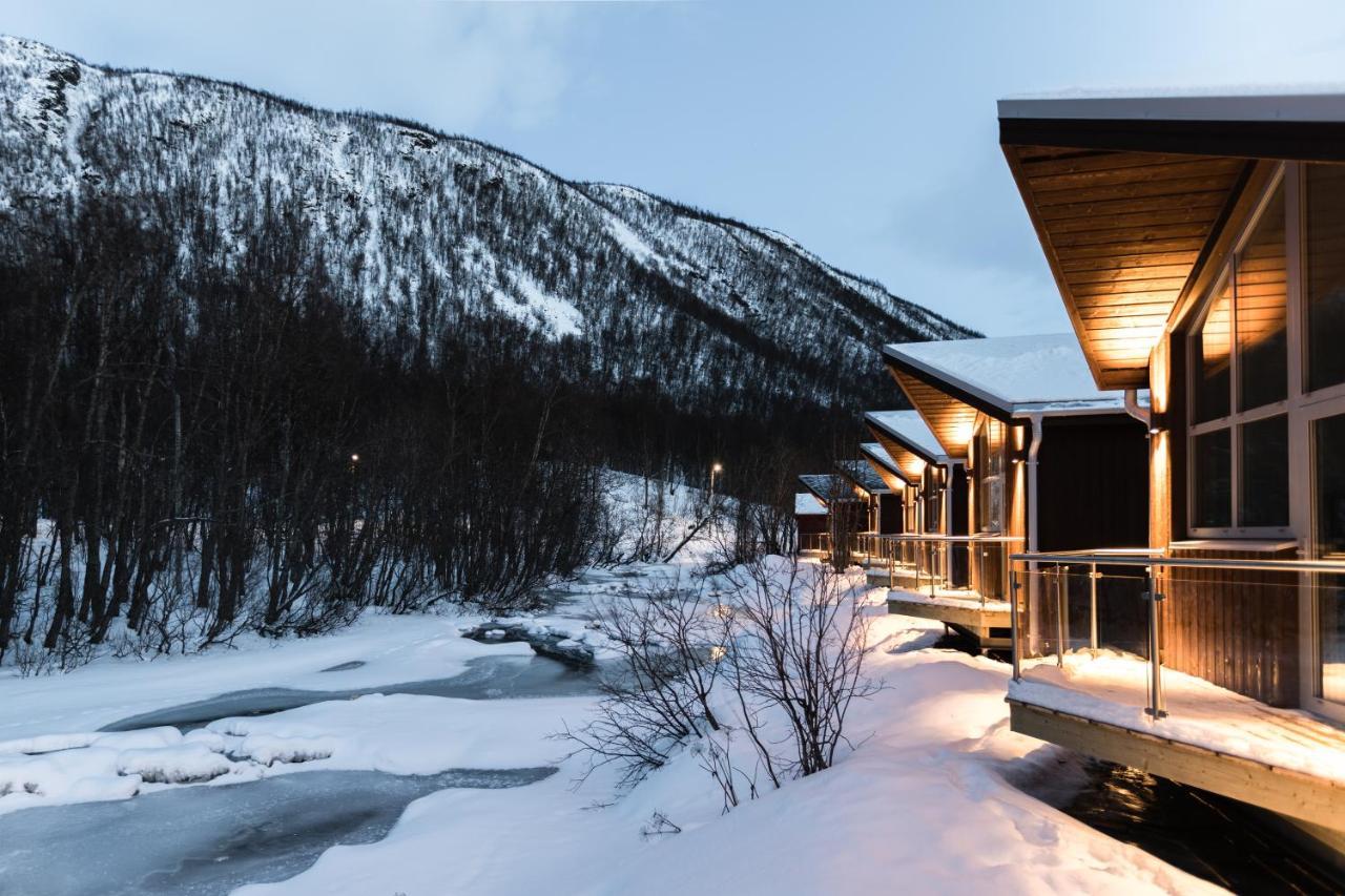 Explorer Cabin-River view