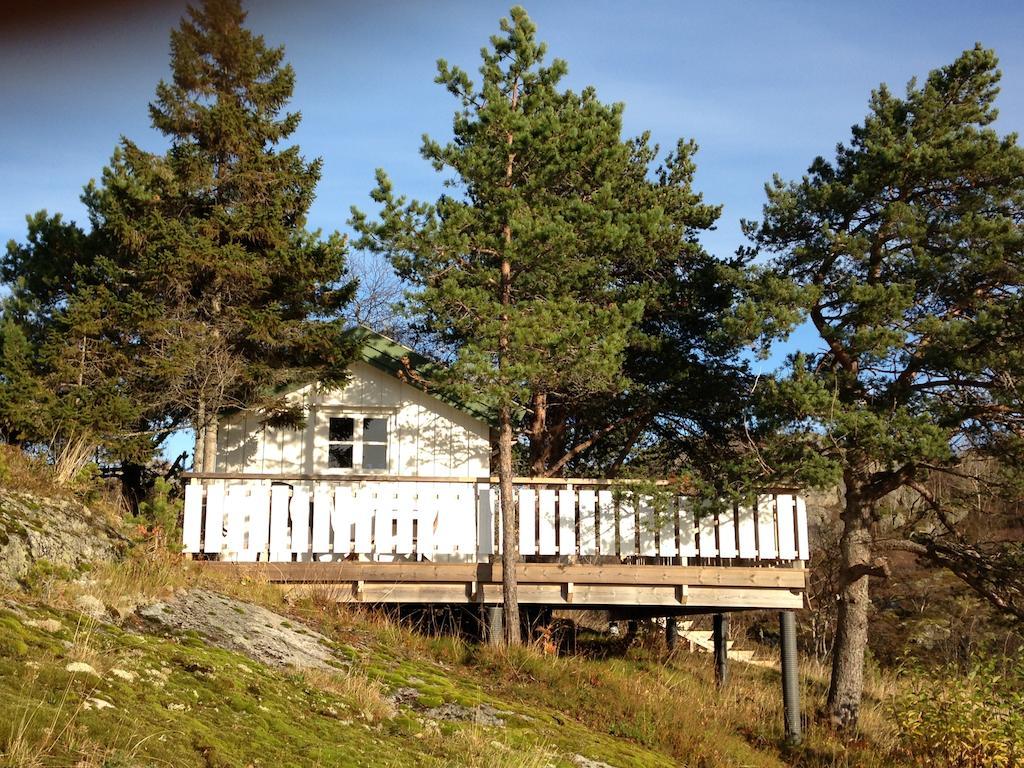 Cottage,236262381:JPEG