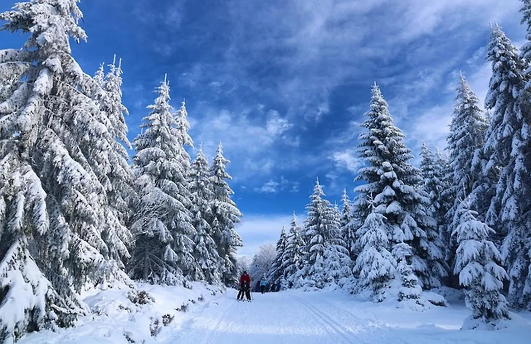 Hunderfossen Hotel & Resort-1