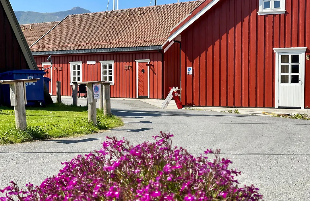 Anker Brygge-1