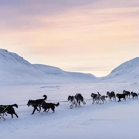 Radisson Blu Polar Hotel, Spitsbergen-3
