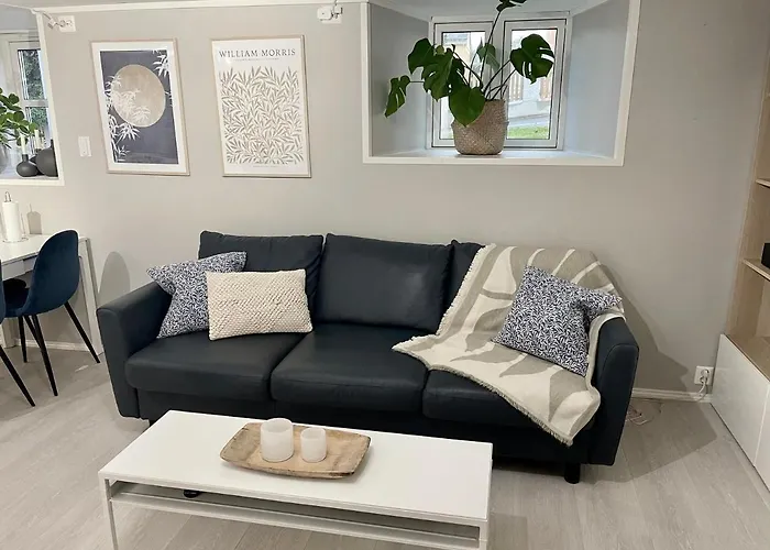 One Bedroom Basement Apartment In The City