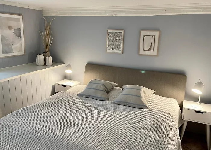 One Bedroom Basement Apartment In The City