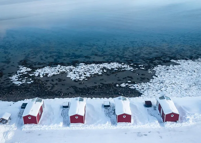 Norwegian Wild