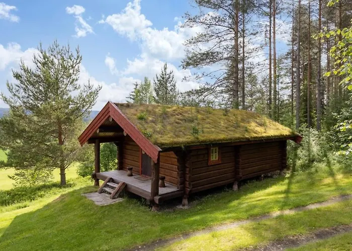 Skogcamping