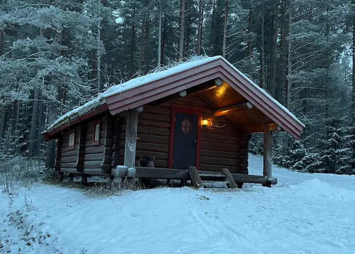 Skogcamping