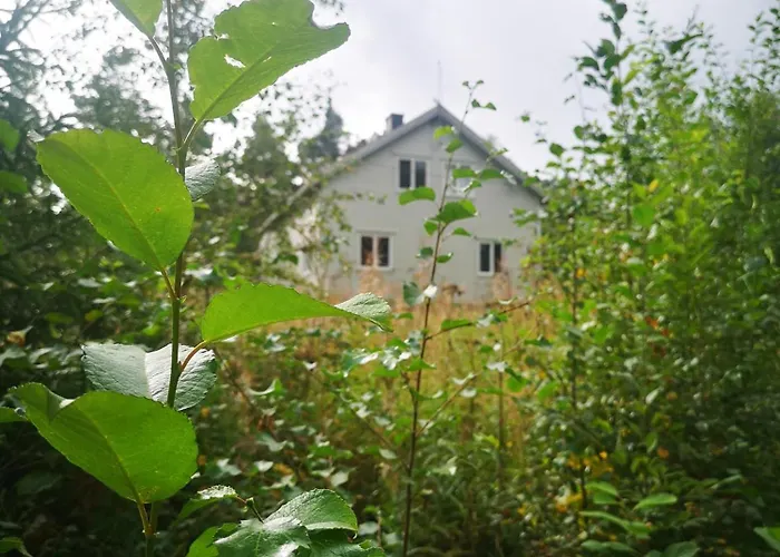 Villa Ka Stor Elvdal