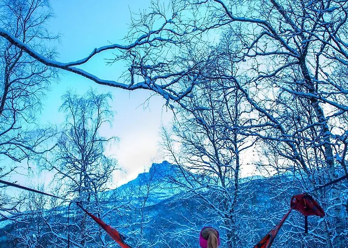 Ballangen Camping