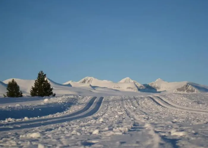 Bjorgebu Camping As