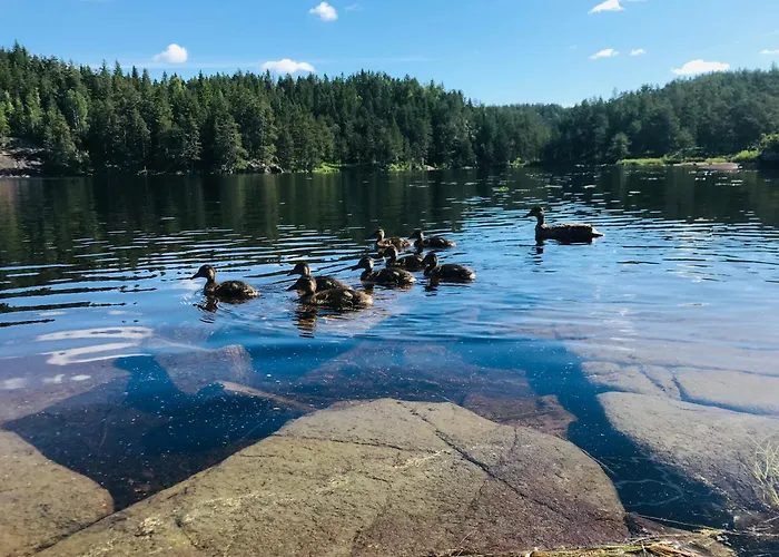Fredelig Og Landlig Hytte