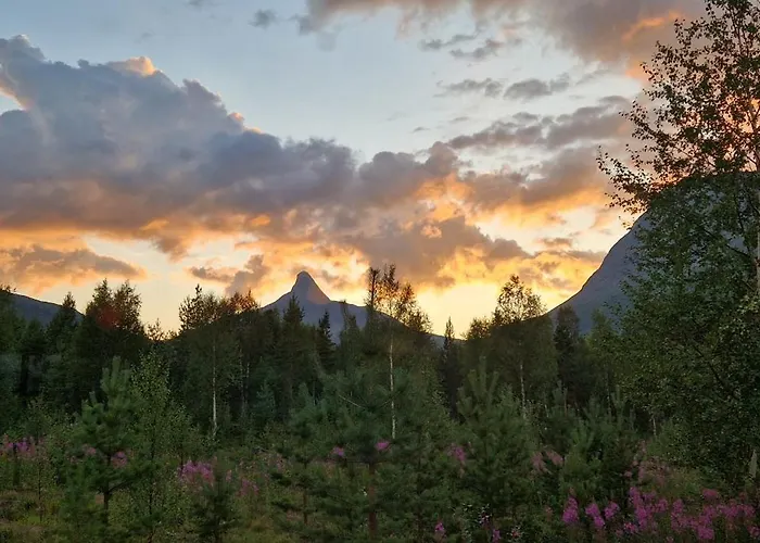 Visit Junkerdal