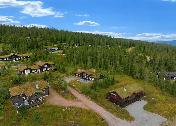 Fa811- Family-Friendly Ski-In Out Chalet In Trysil With Sauna