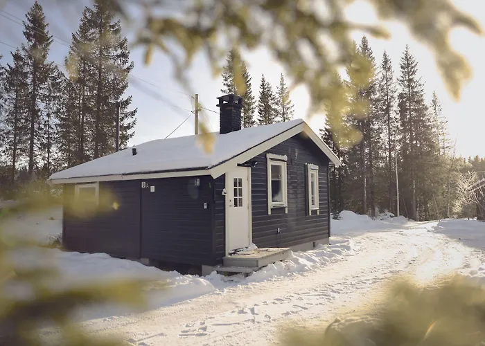 Koselig Hytte I Hemsedal With Outdoor Sauna
