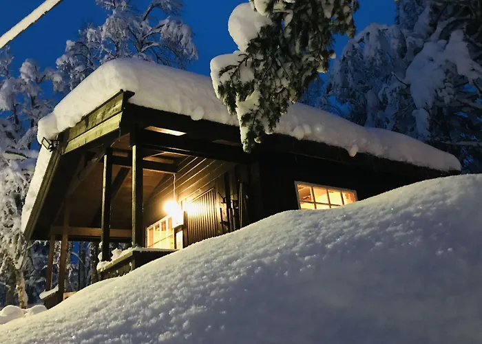 Saeterasen Hytter & Camping Trysil