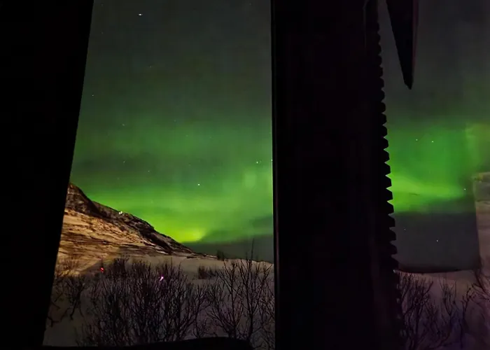 Cabin Aurora Borealis