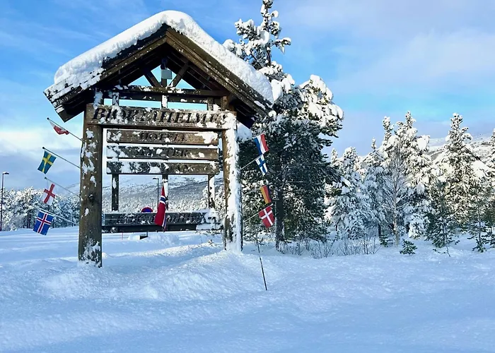 Bjorliheimen Fjellhotell-Hotellrom