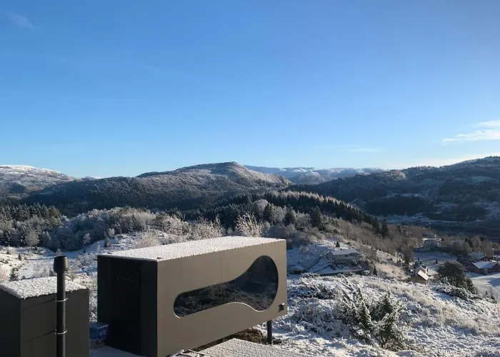 Birdbox Bergen