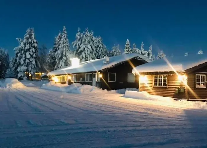 Saeterasen Hytter & Camping Trysil