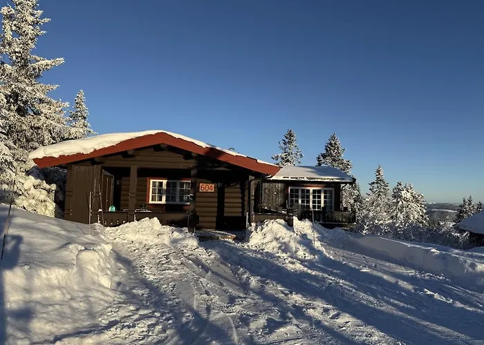 Large Cottage With Beautiful View In Trysil