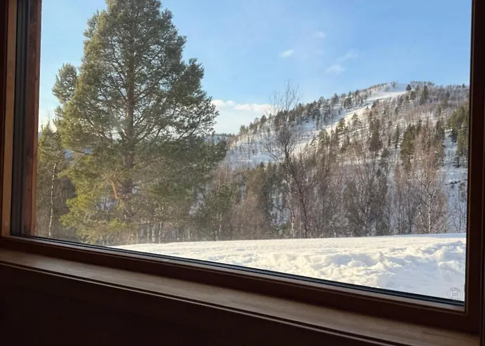 Arctic Luxury Cabin Northern Lights View
