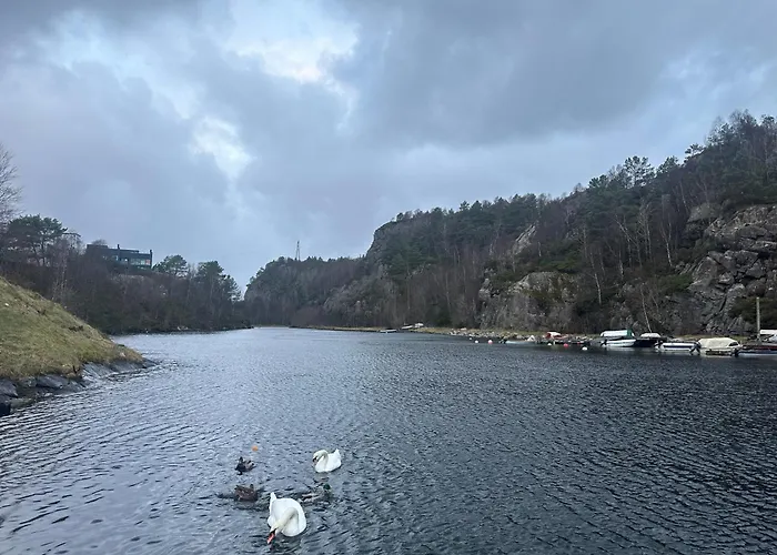 Private Trailer Caravan Near Bergen - No Shower Not Camping