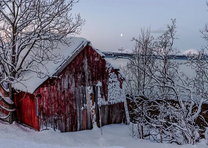 Eira Glamping - Ocean View, Fire Pit & Sauna Rental