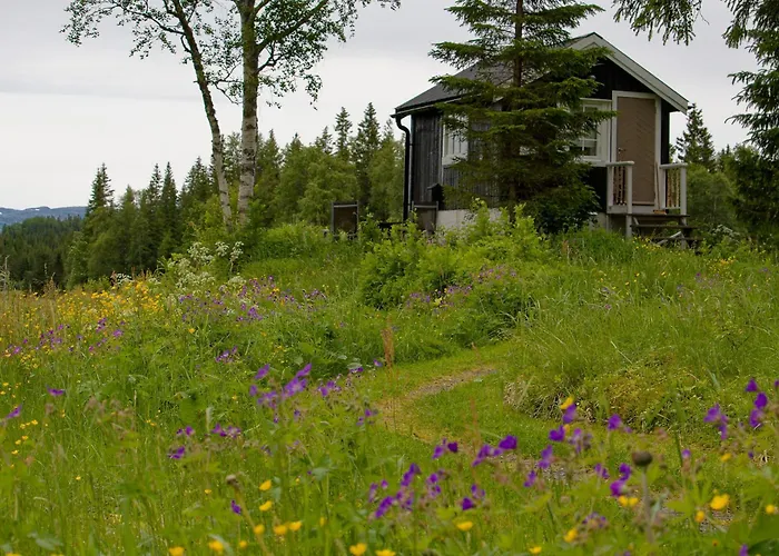 Velfjord Camping Cottages In Nature Shared Bathroom