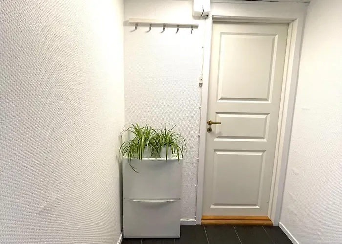Ons 2026 Accommodation In Center Of Stavanger