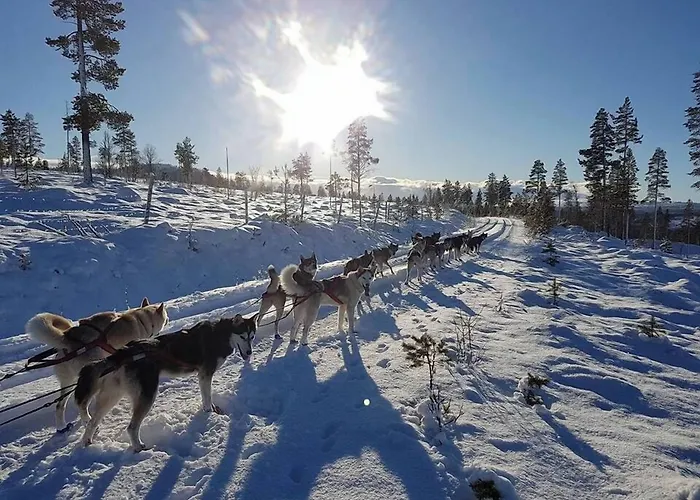 Saeterasen Hytter & Camping Trysil