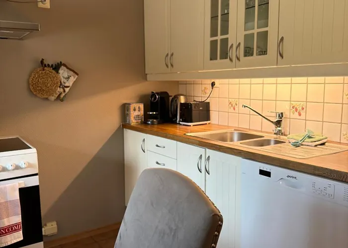 Hyggelig Leilighet I Sentrum