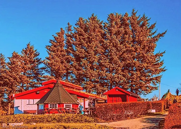 Haraldshaugen Camping