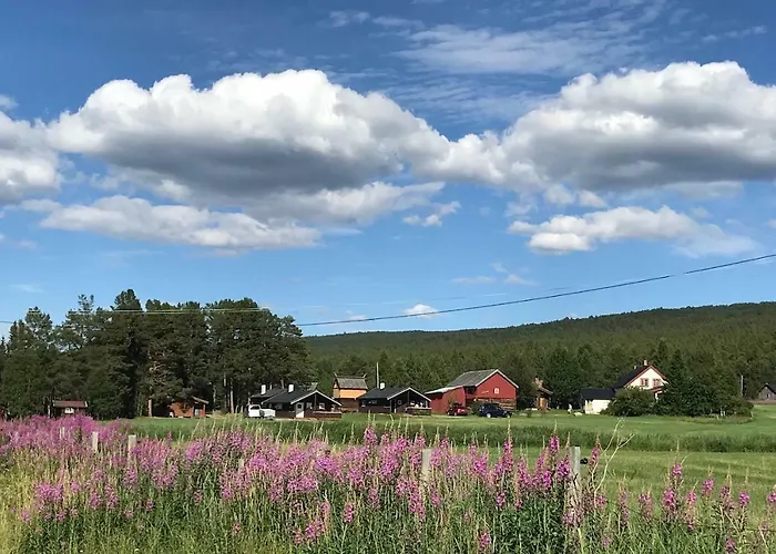 Roste Hyttetun Og Camping